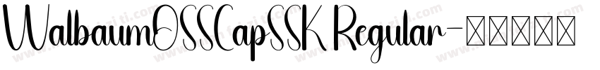 WalbaumOSSCapSSK Regular字体转换